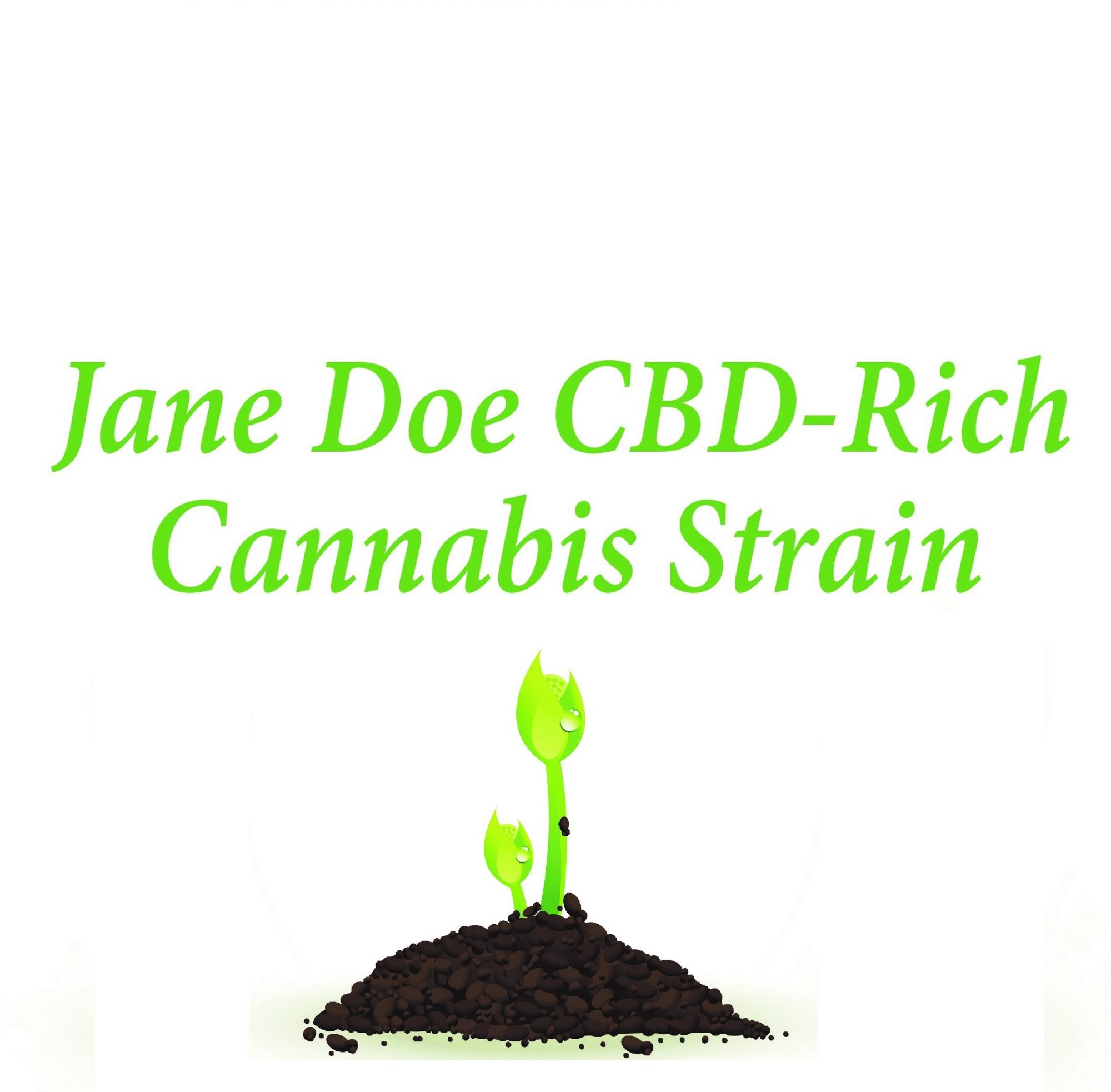 The Canna Dude